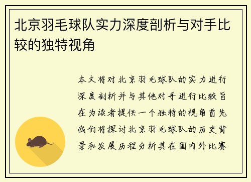 北京羽毛球队实力深度剖析与对手比较的独特视角